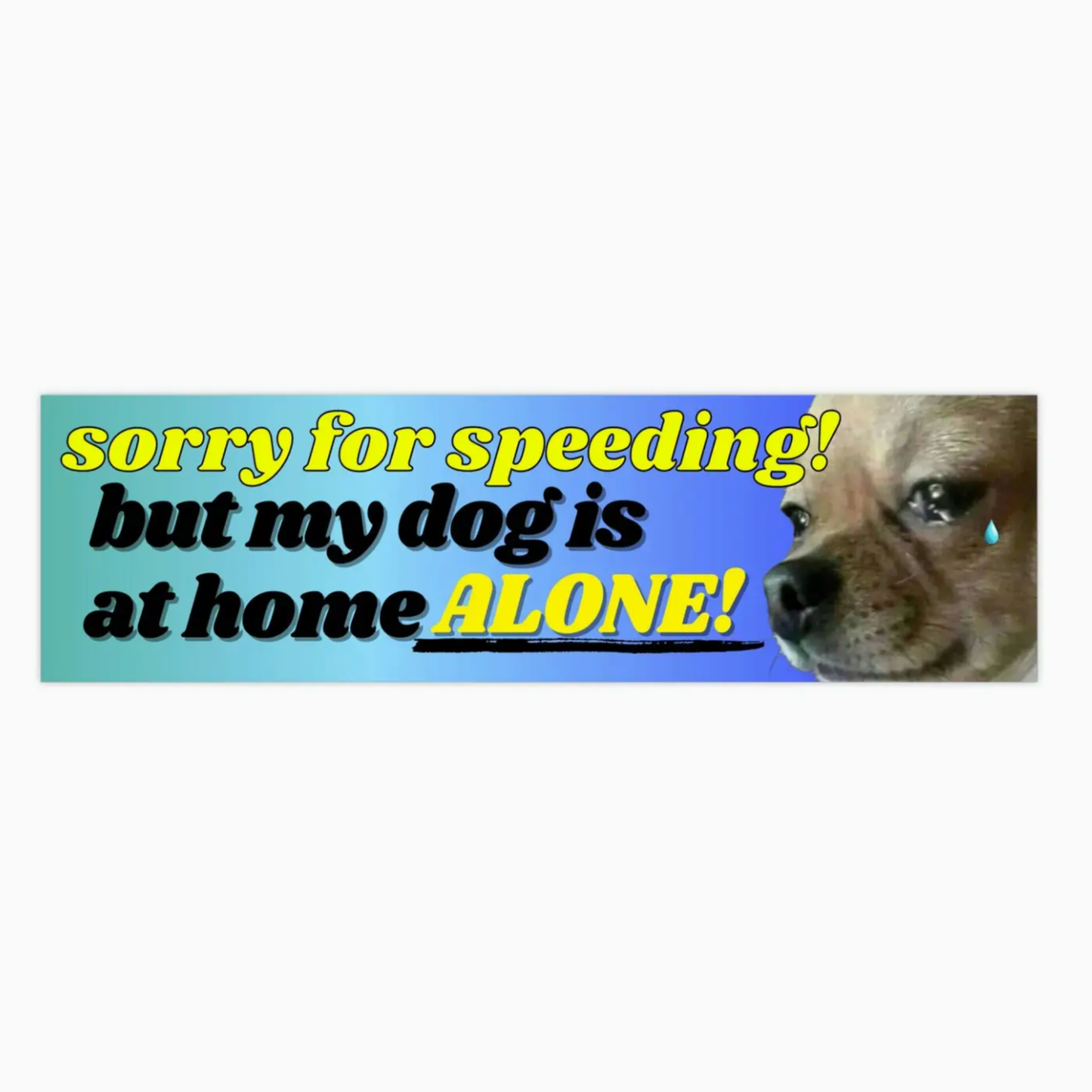 Sorry For Speeding! But My Dog Is Home Alone Bumper Sticker