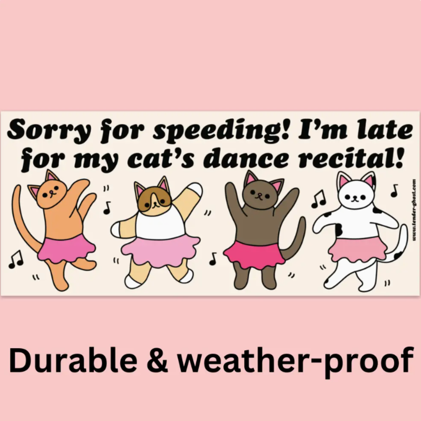 My Cat's Dance Recital Bumper Sticker