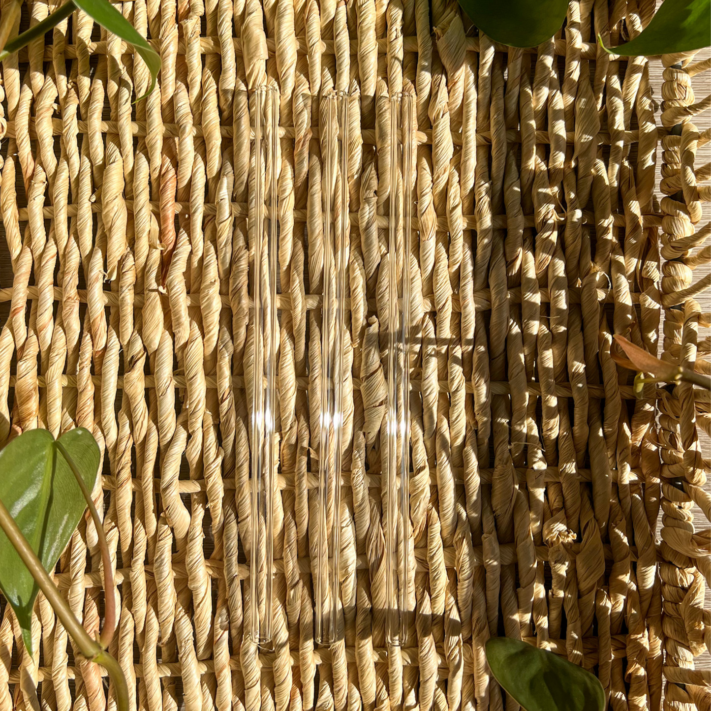 Clear Straight Reusable Glass Drinking Straw