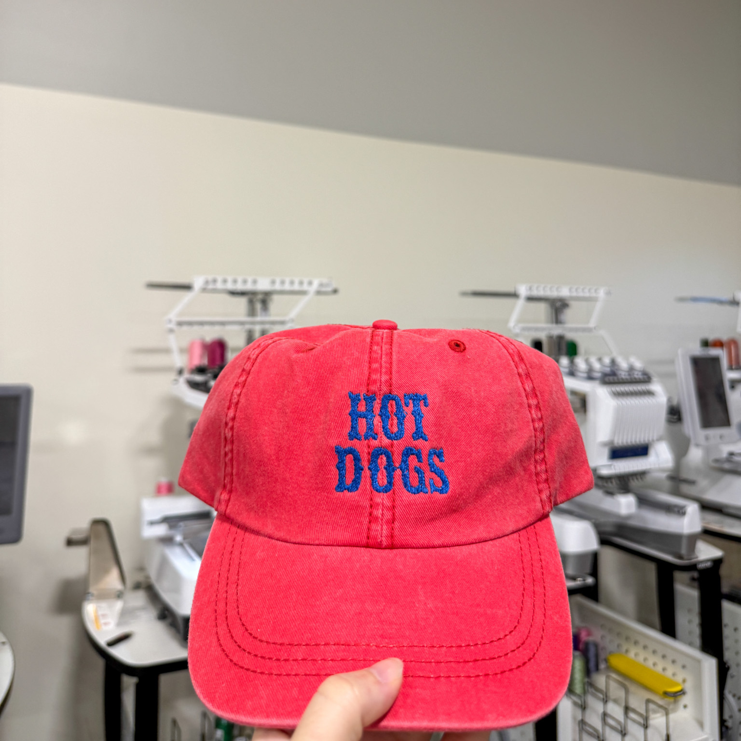 Hot Dogs Hat