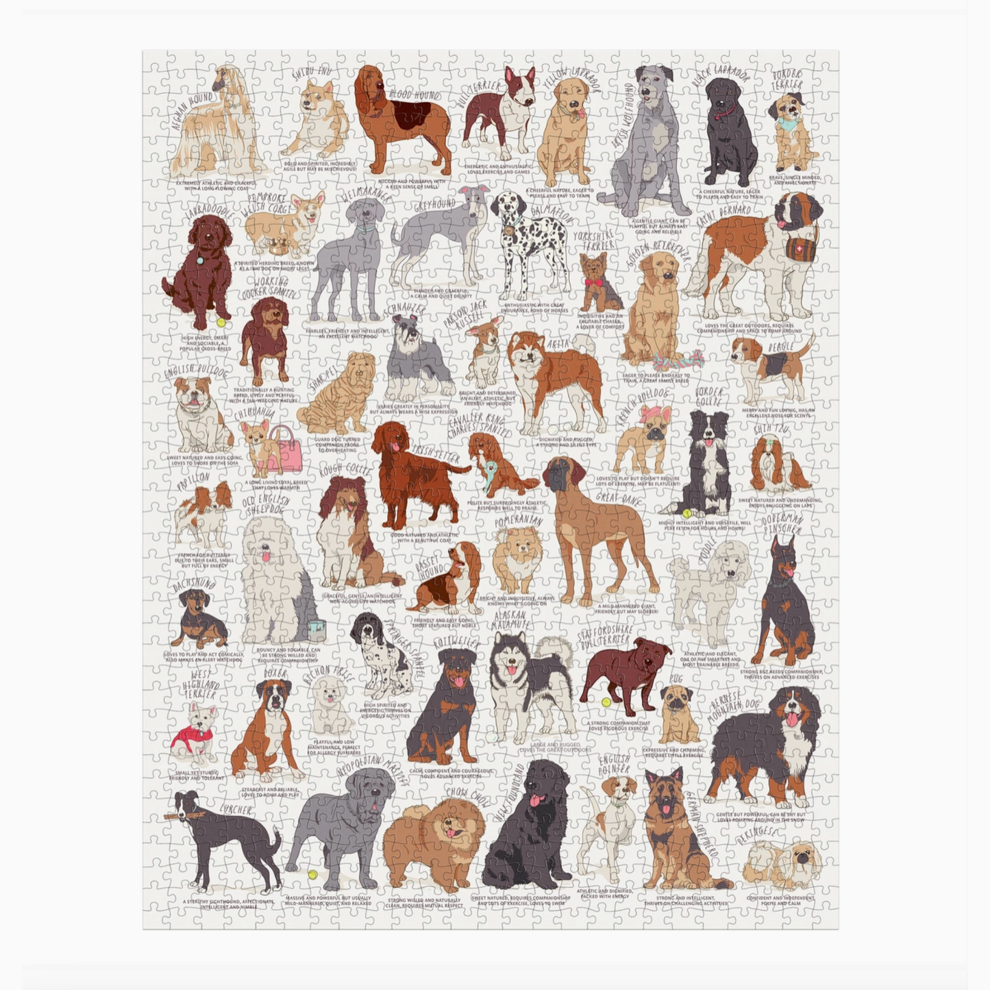 Dog Lover's 1000 Piece Puzzle