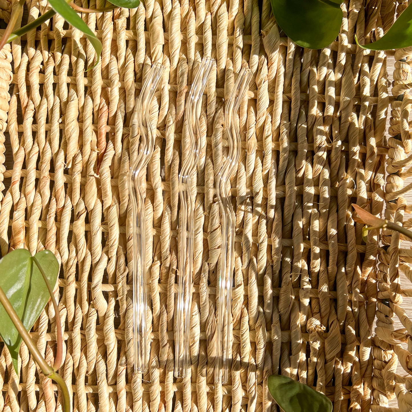Clear Squiggly Reusable Glass Drinking Straw